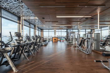 Upscale gym
