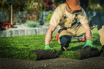Landscaping with grass