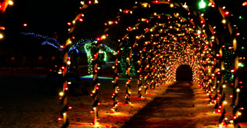 Holiday light tunnel