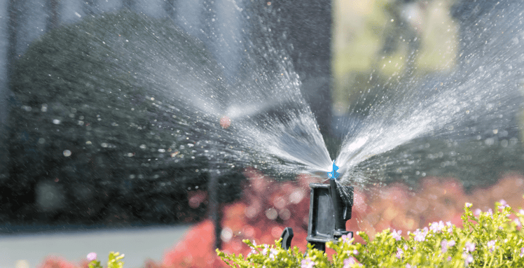 Summer Maintenance Sprinkler-1 (1)