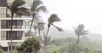 emergency preparedness plan​