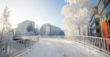winter property management
